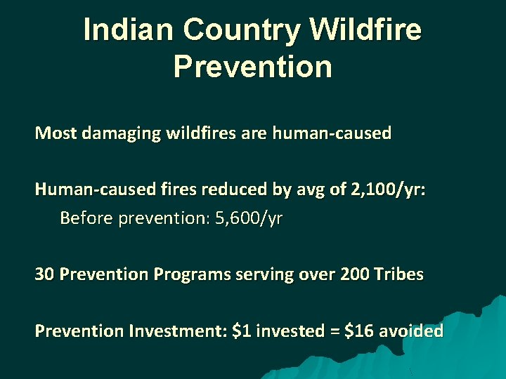 Indian Country Wildfire Prevention Most damaging wildfires are human-caused Human-caused fires reduced by avg