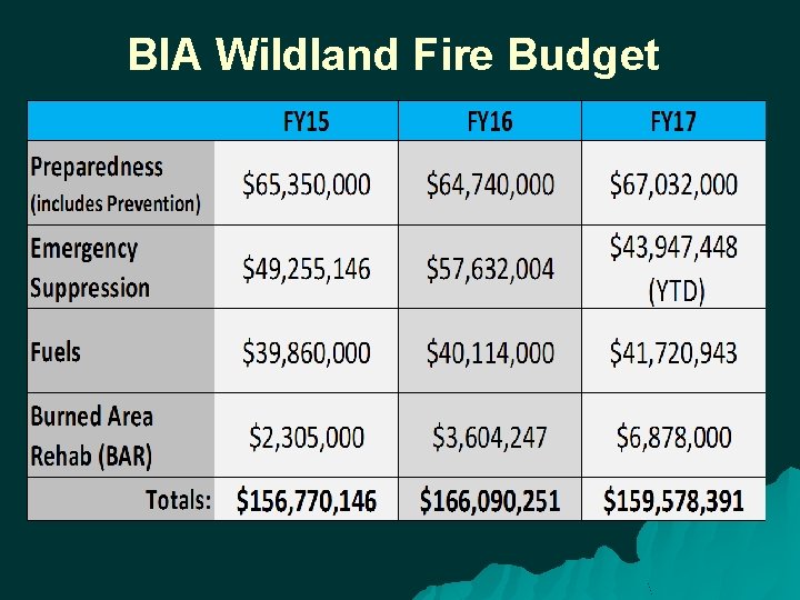 BIA Wildland Fire Budget 