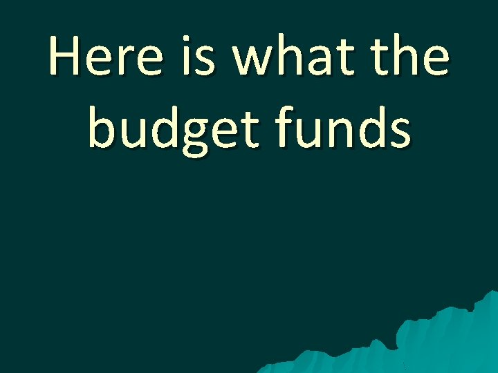 Here is what the budget funds 