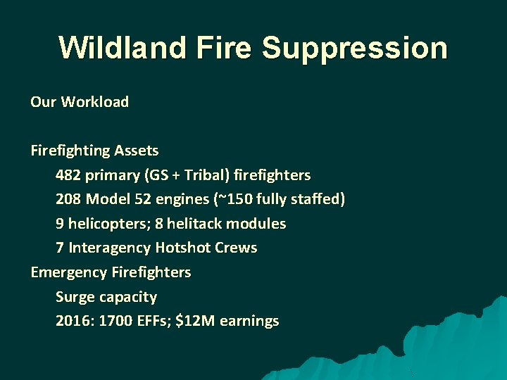 Wildland Fire Suppression Our Workload Firefighting Assets 482 primary (GS + Tribal) firefighters 208