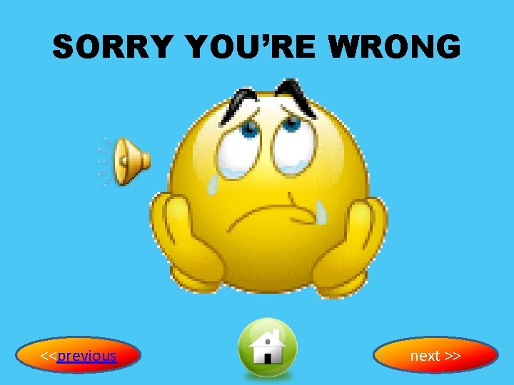 SORRY YOU’RE WRONG <<previous next >> 