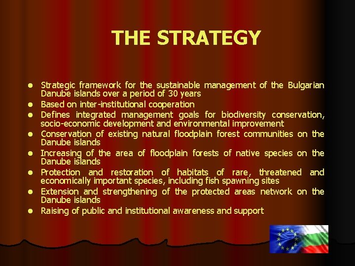 THE STRATEGY l l l l Strategic framework for the sustainable management of the