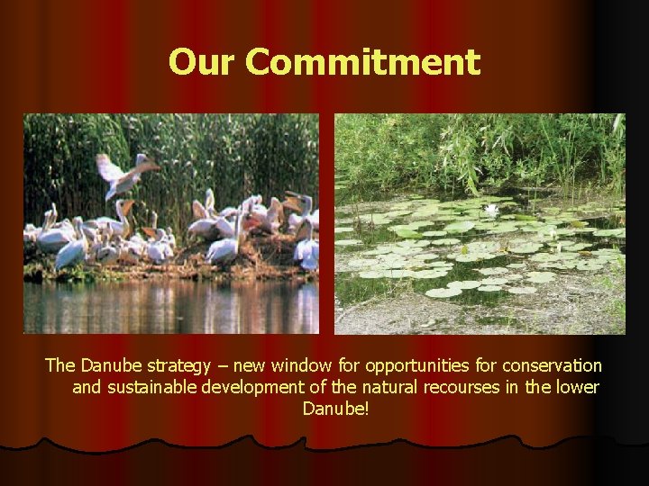 Our Commitment The Danube strategy – new window for opportunities for conservation and sustainable