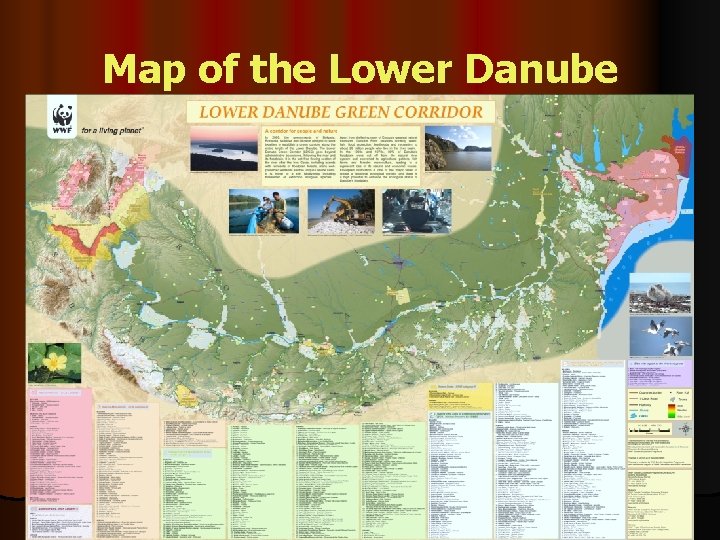 Map of the Lower Danube 