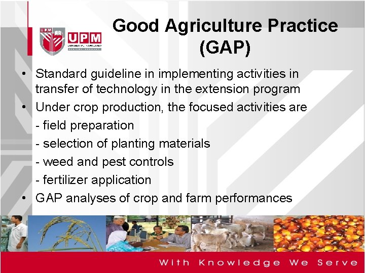 Good Agriculture Practice (GAP) • Standard guideline in implementing activities in transfer of technology