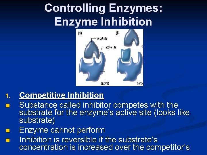 Controlling Enzymes: Enzyme Inhibition 1. n n n Competitive Inhibition Substance called inhibitor competes