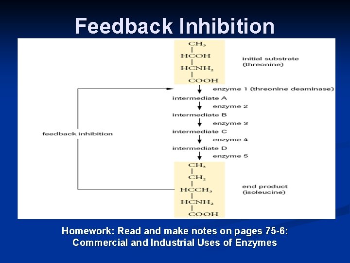 Feedback Inhibition Homework: Read and make notes on pages 75 -6: Commercial and Industrial