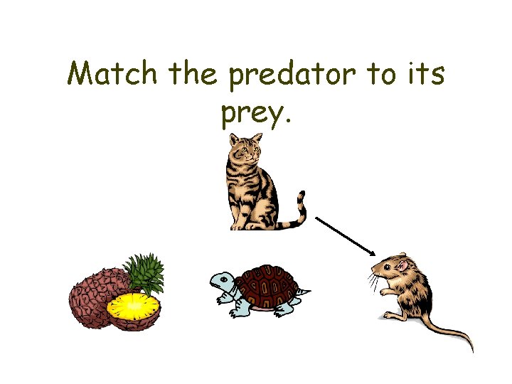 Match the predator to its prey. 