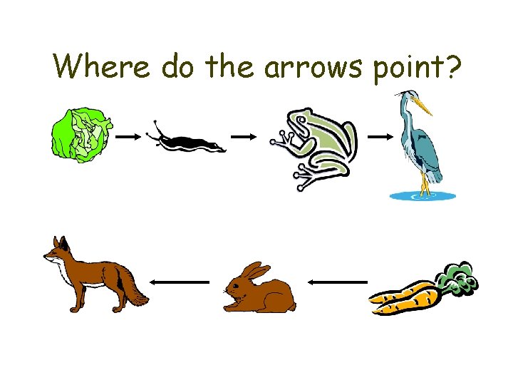 Where do the arrows point? 