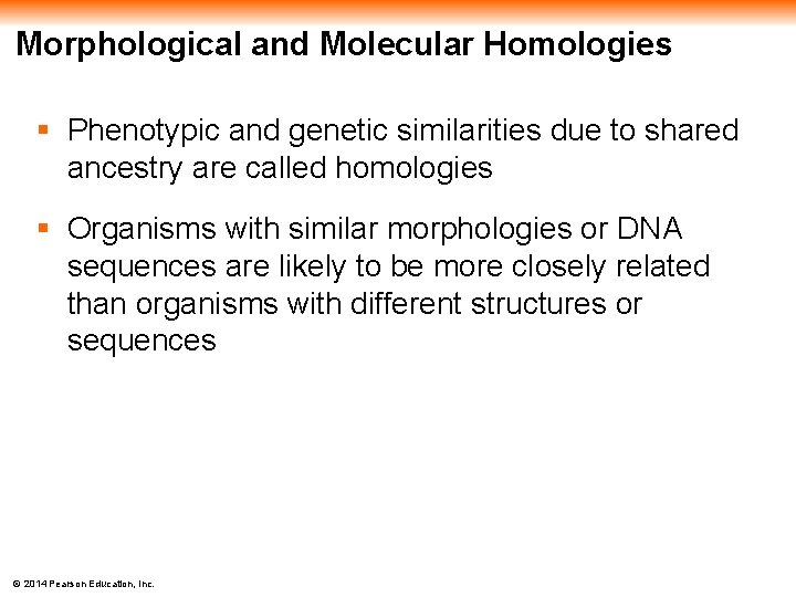 Morphological and Molecular Homologies § Phenotypic and genetic similarities due to shared ancestry are