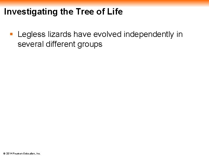 Investigating the Tree of Life § Legless lizards have evolved independently in several different