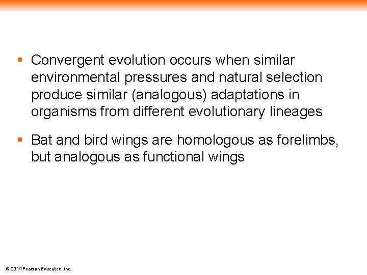 § Convergent evolution occurs when similar environmental pressures and natural selection produce similar (analogous)