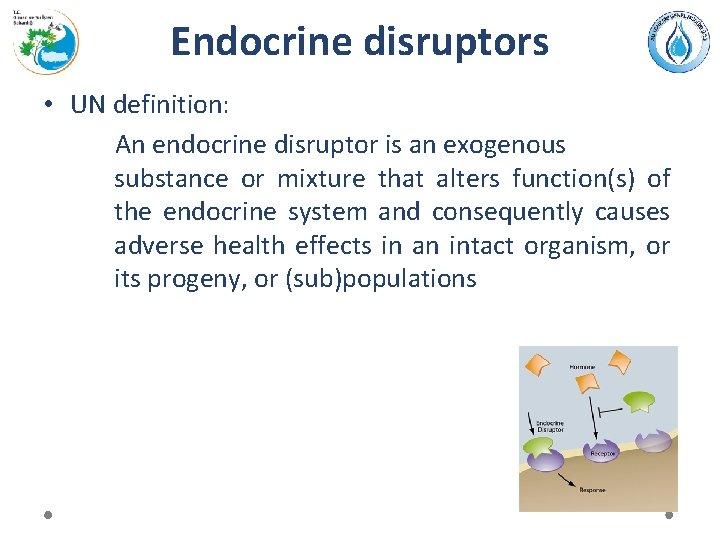 Endocrine disruptors • UN definition: An endocrine disruptor is an exogenous substance or mixture