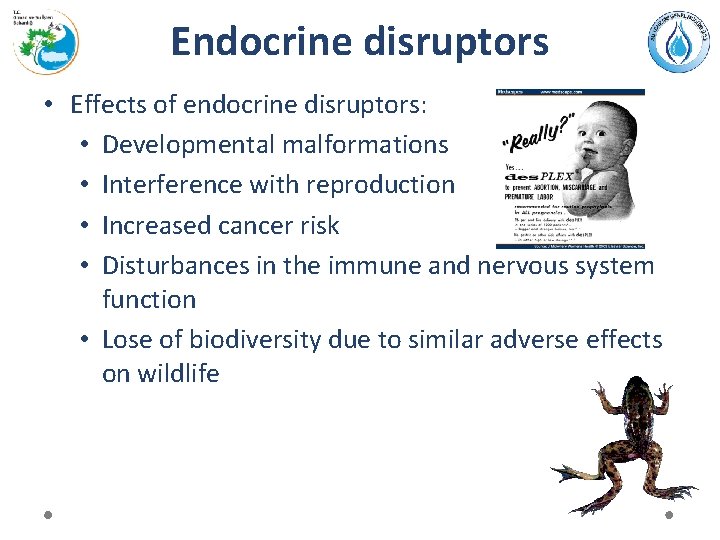 Endocrine disruptors • Effects of endocrine disruptors: • Developmental malformations • Interference with reproduction
