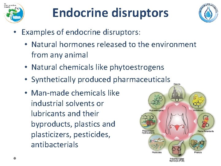 Endocrine disruptors • Examples of endocrine disruptors: • Natural hormones released to the environment