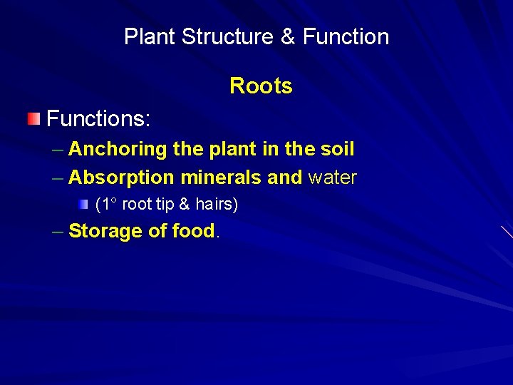 Plant Structure & Function Roots Functions: – Anchoring the plant in the soil –