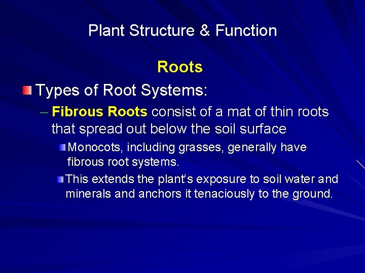 Plant Structure & Function Roots Types of Root Systems: – Fibrous Roots consist of