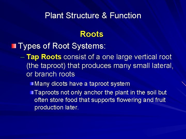 Plant Structure & Function Roots Types of Root Systems: – Tap Roots consist of