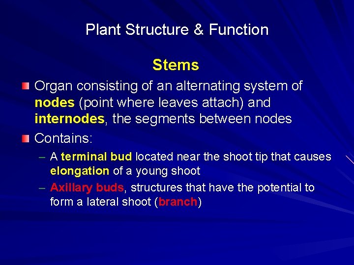 Plant Structure & Function Stems Organ consisting of an alternating system of nodes (point