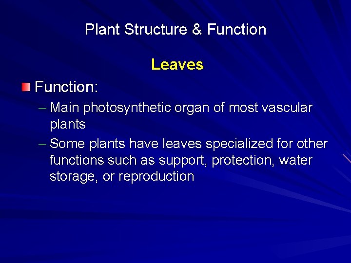 Plant Structure & Function Leaves Function: – Main photosynthetic organ of most vascular plants
