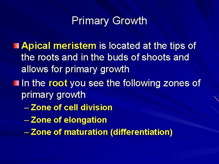 Primary Growth Apical meristem is located at the tips of the roots and in