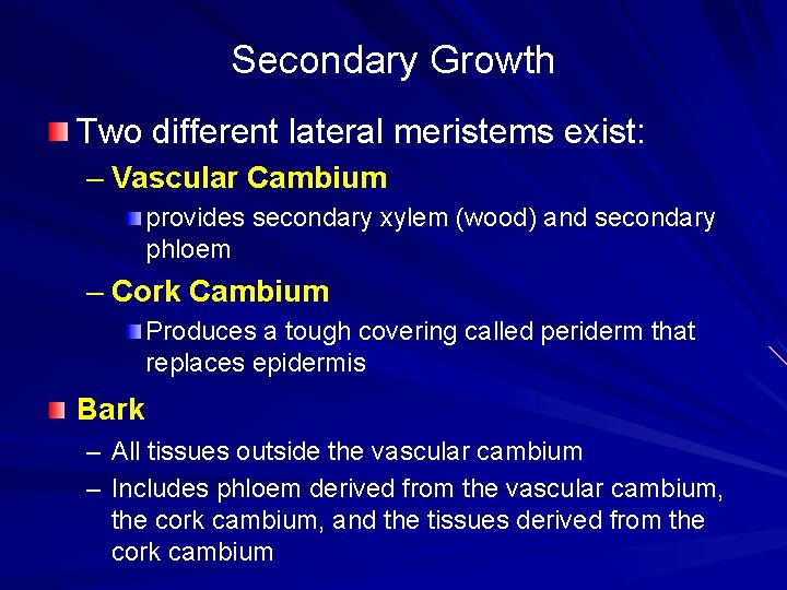 Secondary Growth Two different lateral meristems exist: – Vascular Cambium provides secondary xylem (wood)
