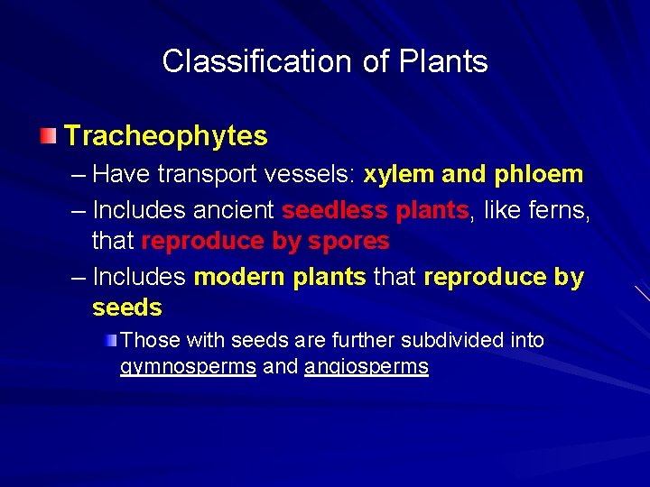 Classification of Plants Tracheophytes – Have transport vessels: xylem and phloem – Includes ancient