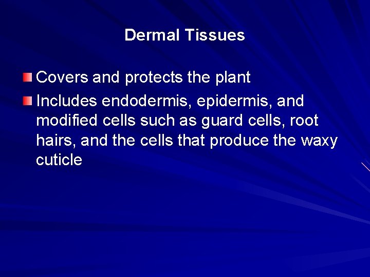 Dermal Tissues Covers and protects the plant Includes endodermis, epidermis, and modified cells such