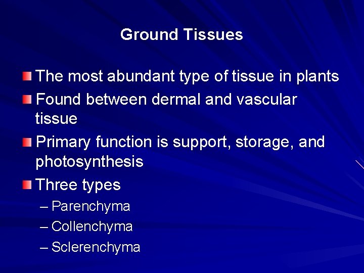 Ground Tissues The most abundant type of tissue in plants Found between dermal and