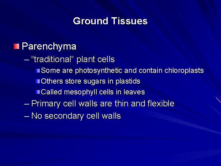 Ground Tissues Parenchyma – “traditional” plant cells Some are photosynthetic and contain chloroplasts Others