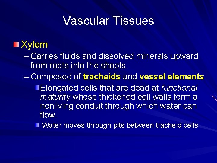 Vascular Tissues Xylem – Carries fluids and dissolved minerals upward from roots into the