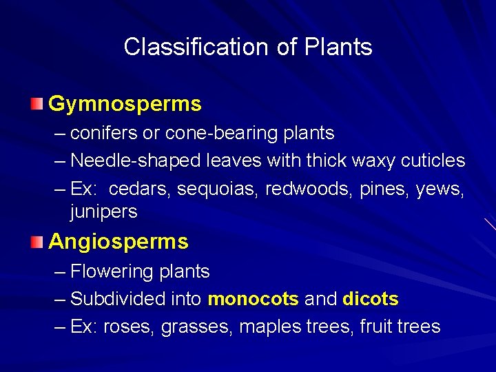 Classification of Plants Gymnosperms – conifers or cone-bearing plants – Needle-shaped leaves with thick