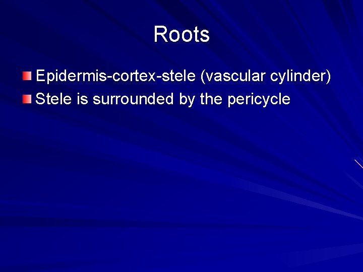 Roots Epidermis-cortex-stele (vascular cylinder) Stele is surrounded by the pericycle 