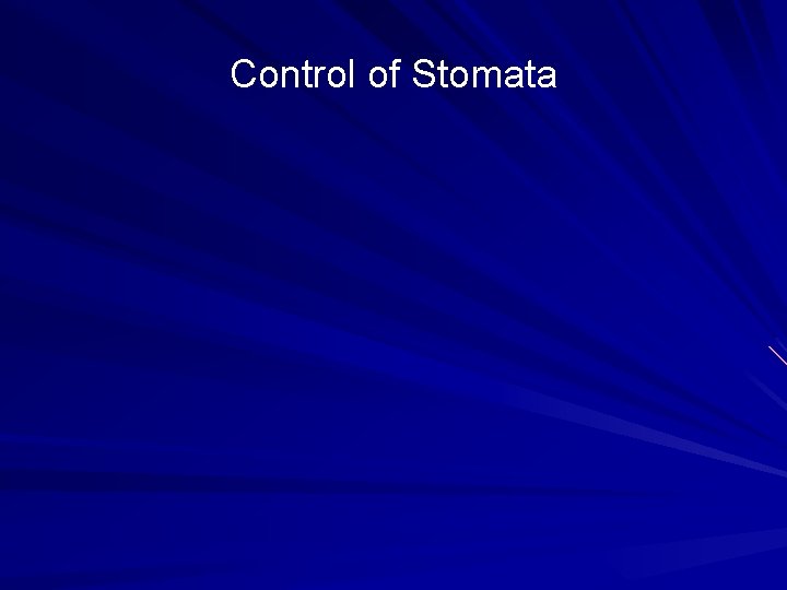 Control of Stomata 