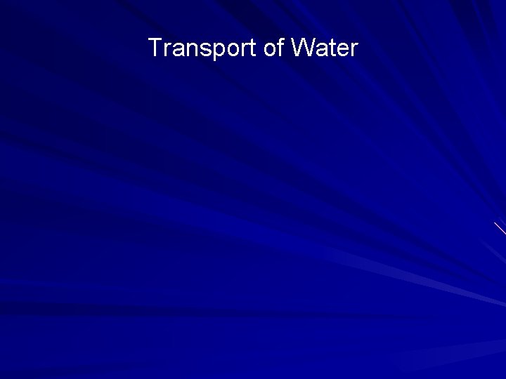 Transport of Water 