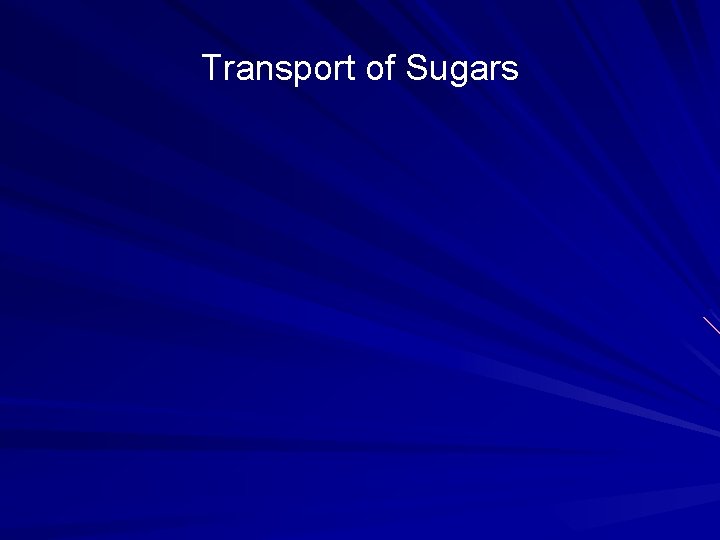 Transport of Sugars 