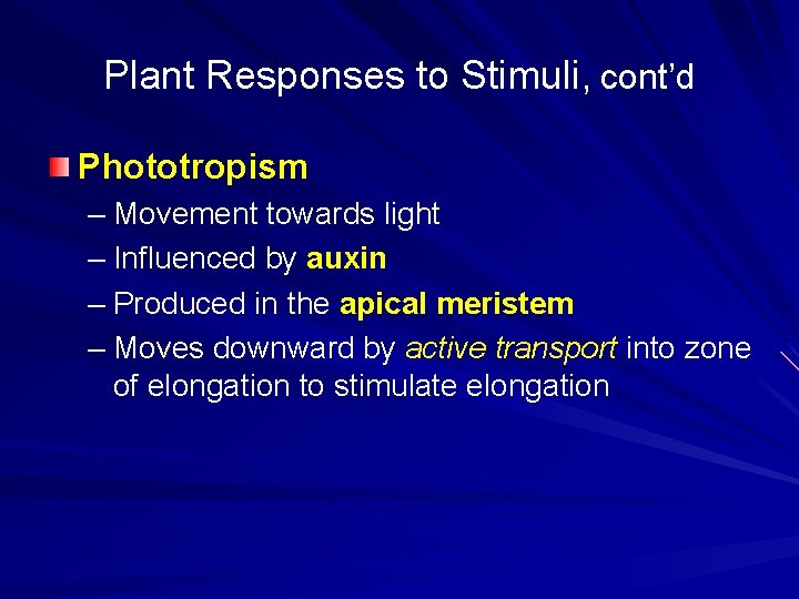 Plant Responses to Stimuli, cont’d Phototropism – Movement towards light – Influenced by auxin