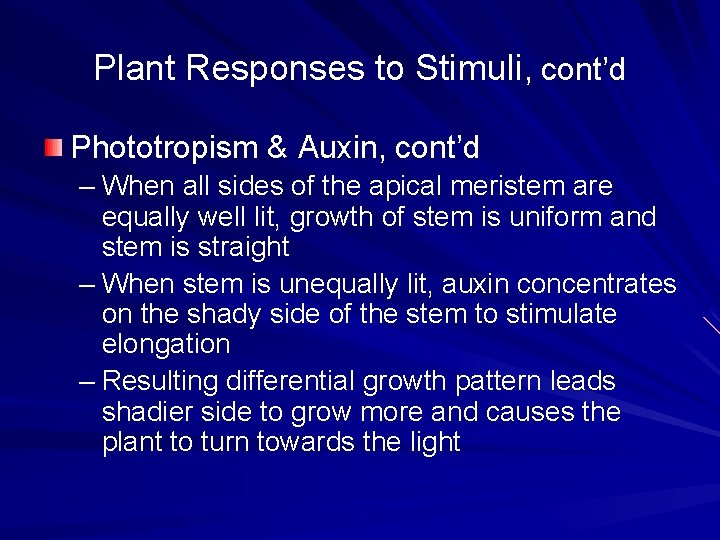 Plant Responses to Stimuli, cont’d Phototropism & Auxin, cont’d – When all sides of