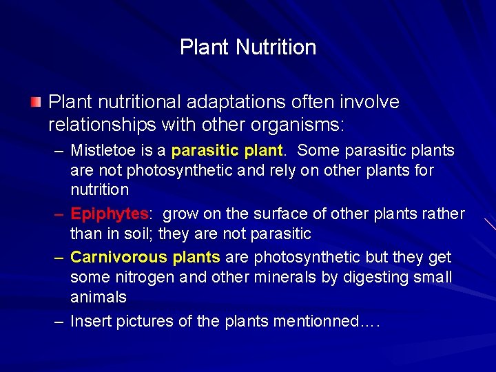 Plant Nutrition Plant nutritional adaptations often involve relationships with other organisms: – Mistletoe is