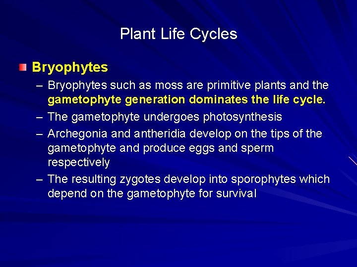 Plant Life Cycles Bryophytes – Bryophytes such as moss are primitive plants and the