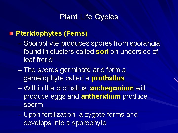 Plant Life Cycles Pteridophytes (Ferns) – Sporophyte produces spores from sporangia found in clusters