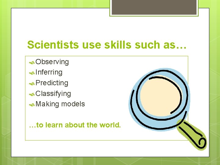 Scientists use skills such as… Observing Inferring Predicting Classifying Making models …to learn about