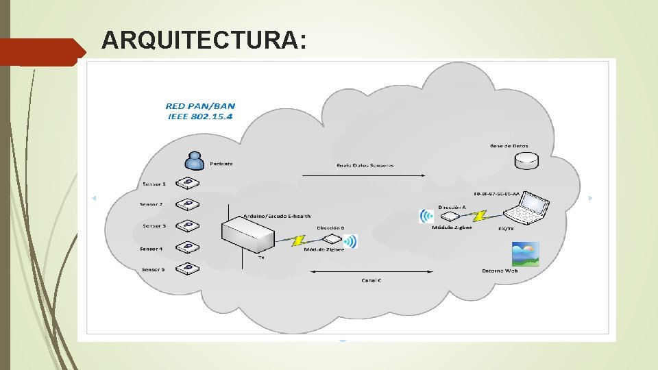 ARQUITECTURA: 