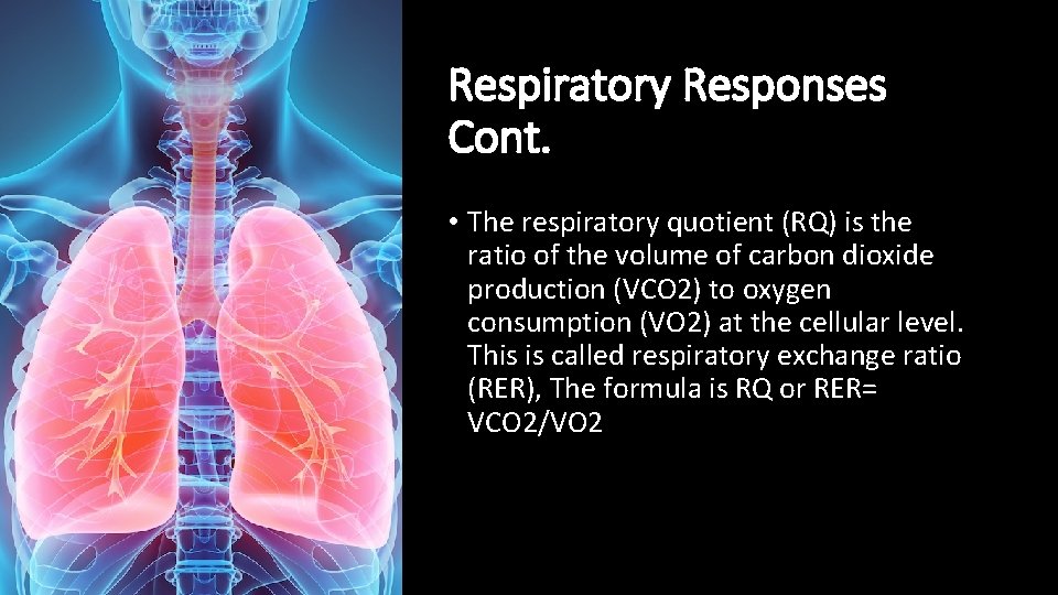 Respiratory Responses Cont. • The respiratory quotient (RQ) is the ratio of the volume
