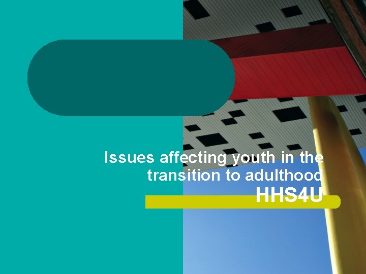 Issues affecting youth in the transition to adulthood HHS 4 U Issues affecting youth in the transition to adulthood HHS 4 U