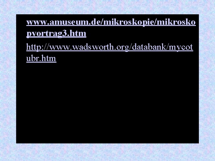  • www. amuseum. de/mikroskopie/mikrosko pvortrag 3. htm • http: //www. wadsworth. org/databank/mycot ubr.