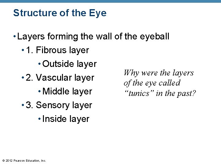 Structure of the Eye • Layers forming the wall of the eyeball • 1.