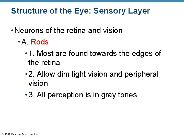 Structure of the Eye: Sensory Layer • Neurons of the retina and vision •