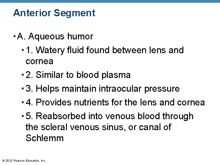 Anterior Segment • A. Aqueous humor • 1. Watery fluid found between lens and