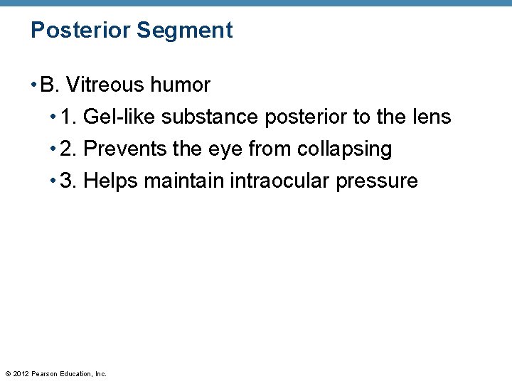Posterior Segment • B. Vitreous humor • 1. Gel-like substance posterior to the lens